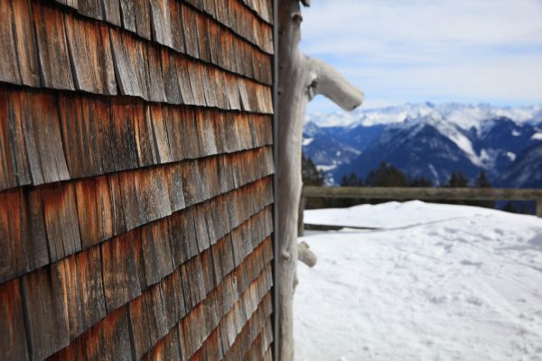 Cedar Siding Repair in Grand Prairie